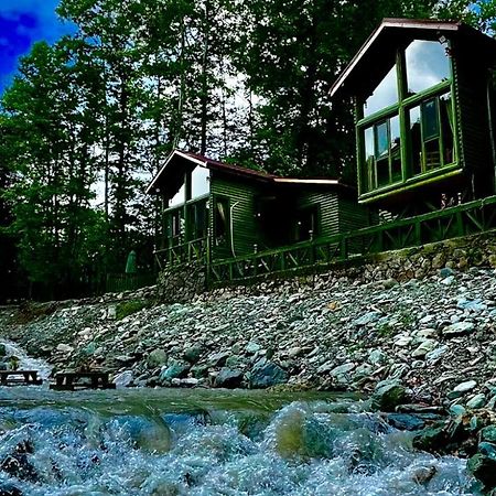 Doga Su Minimal Evler Villa Sapanca Eksteriør bilde